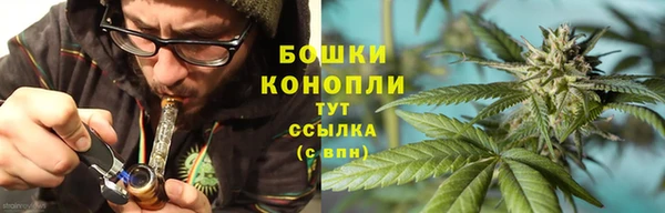 спайс Гвардейск