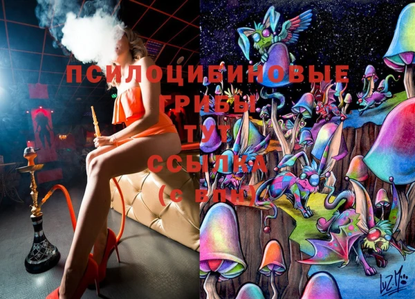 спиды Нея
